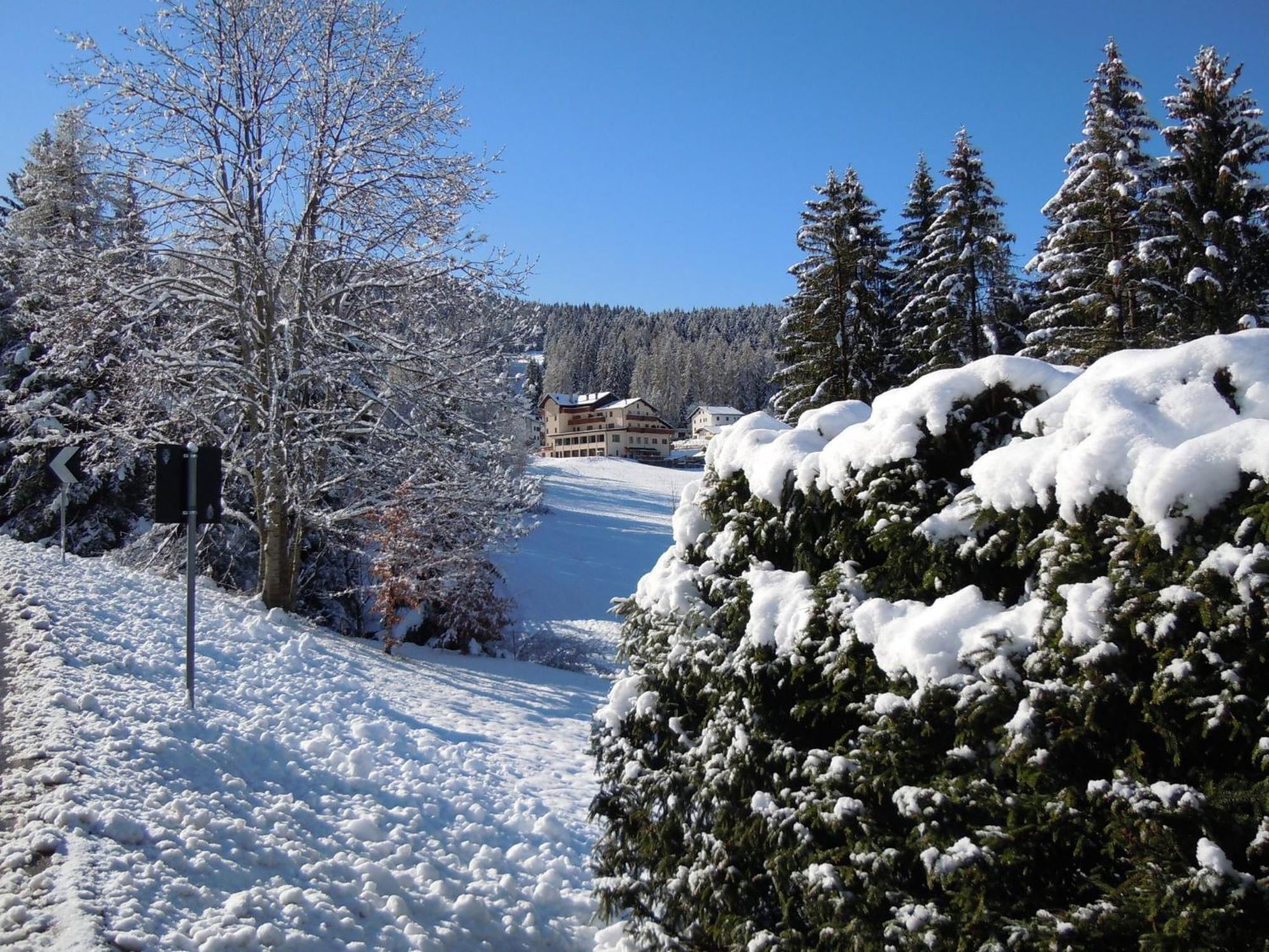 Hotel Seggiovia Folgaria Εξωτερικό φωτογραφία